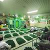 جشن مبعث حضرت رسول اکرم (ص) در حج و زیارت استان برگزار شد