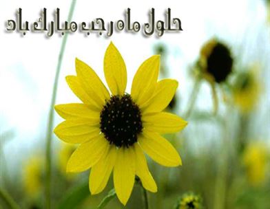 حلول ماه رجب  و ولادت امام محمد باقر(ع) بر همه مسلمانان مبارك باد